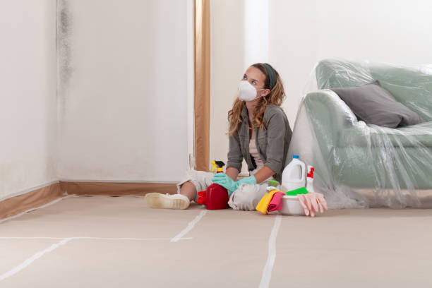 Reliable Mold Testing contractor in Three Oaks, MI by WQB Mold Removal